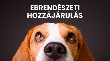 Ebrendészeti hozzájárulás